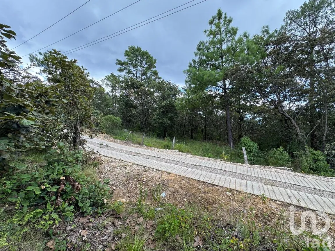 Terreno en Venta en Huitepec Ocotal Sección II, San Cristóbal de las Casas, Chiapas | NEX-259371 | iad México | Foto 8 de 13