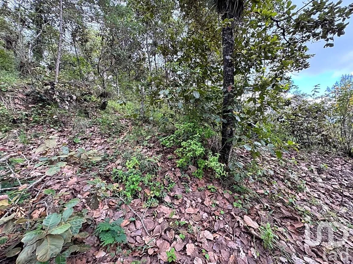 Terreno en Venta en Huitepec Ocotal Sección II, San Cristóbal de las Casas, Chiapas | NEX-259371 | iad México | Foto 10 de 13