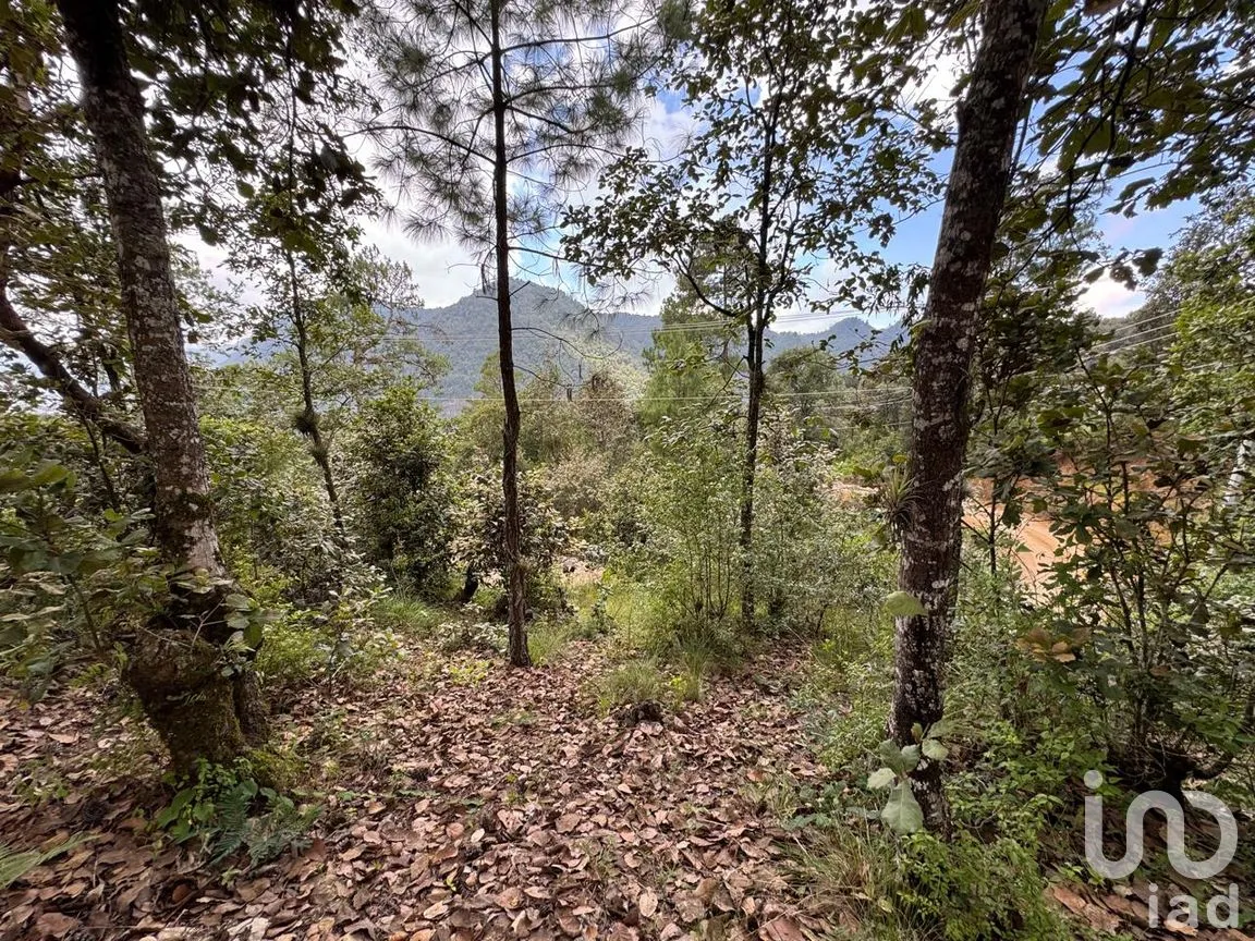 Terreno en Venta en Huitepec Ocotal Sección II, San Cristóbal de las Casas, Chiapas | NEX-259371 | iad México | Foto 1 de 13