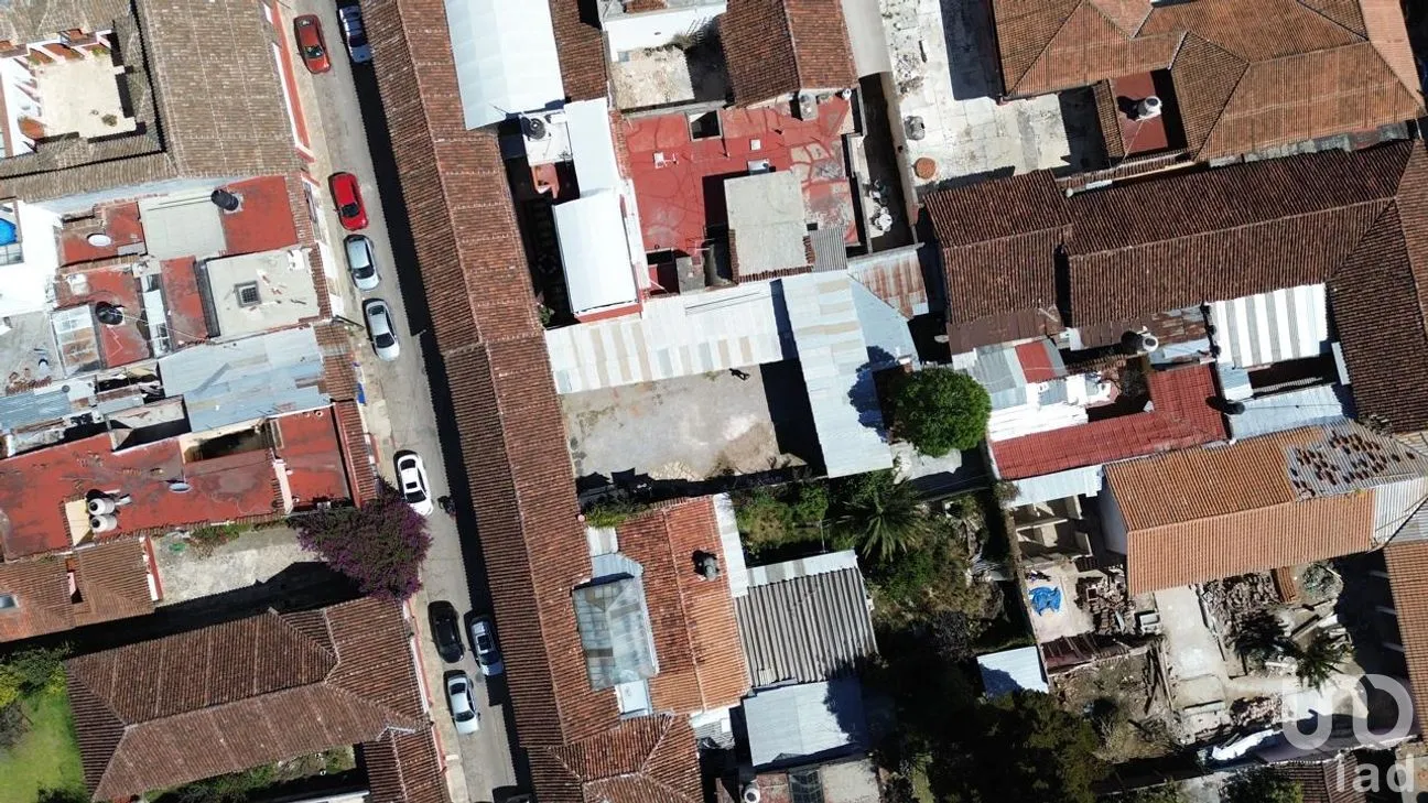 Terreno en Renta en La Merced, San Cristóbal de las Casas, Chiapas | NEX-286679 | iad México | Foto 11 de 12