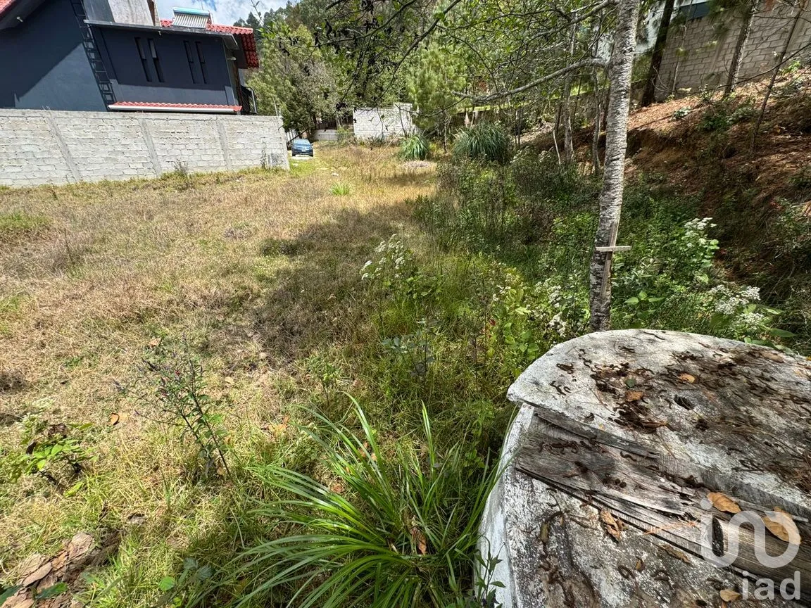 Casa en Venta en Huitepec Ocotal Sección II, San Cristóbal de las Casas, Chiapas | NEX-292477 | iad México | Foto 20 de 59
