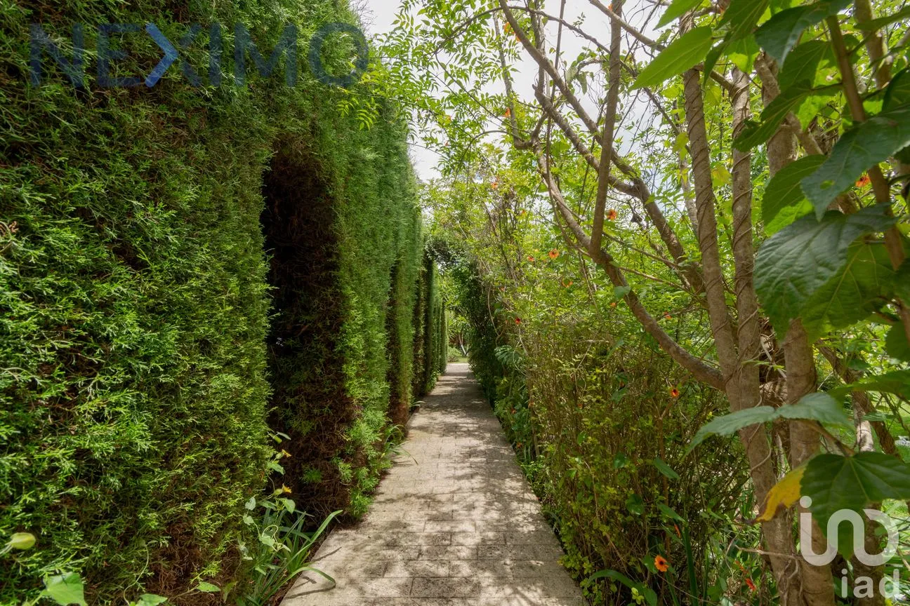 Hotel en Venta en Guadalupe, San Cristóbal de las Casas, Chiapas | NEX-46141 | iad México | Foto 26 de 55