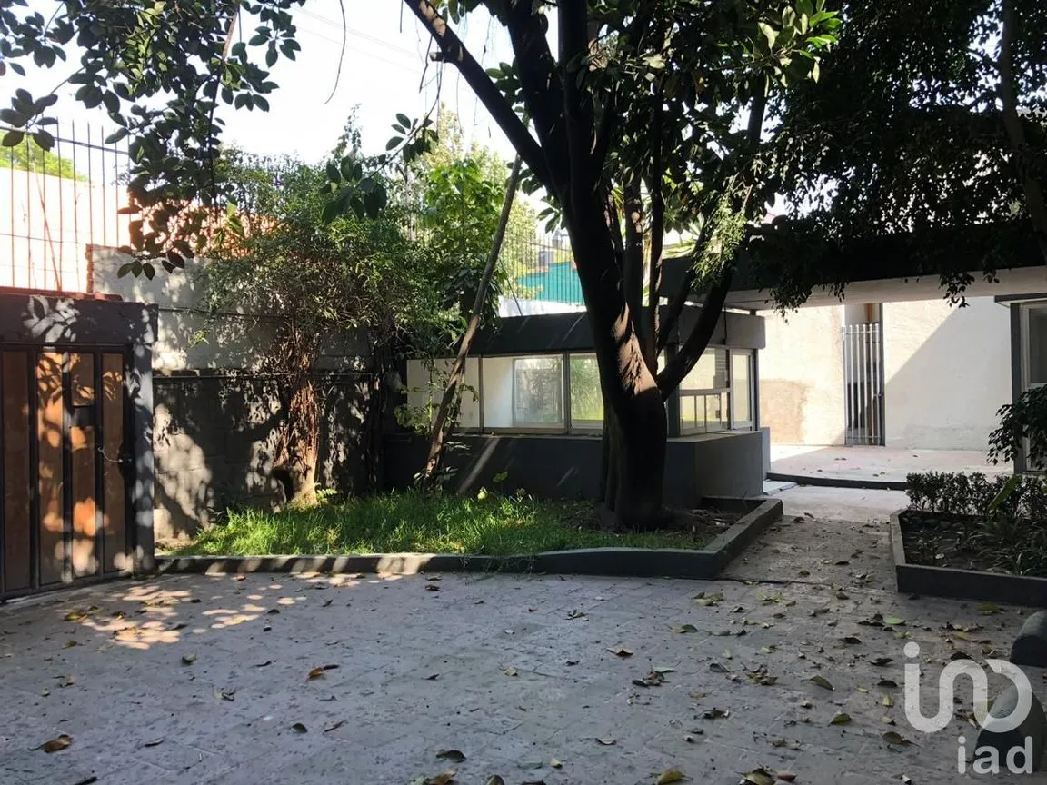 Oficina en Renta en Chimalistac, Álvaro Obregón, Ciudad de México | NEX-13796 | iad México | Foto 3 de 16