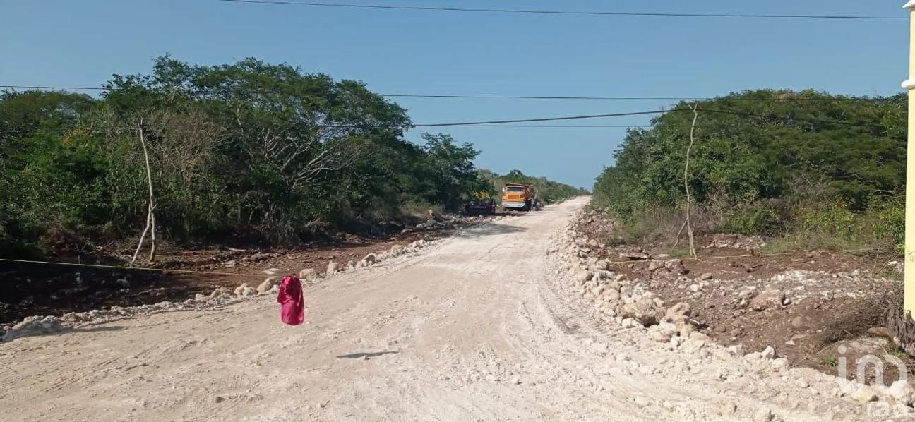 Terreno en Venta en Santa Clara, Dzidzantún, Yucatán | NEX-46002 | iad México | Foto 6 de 11