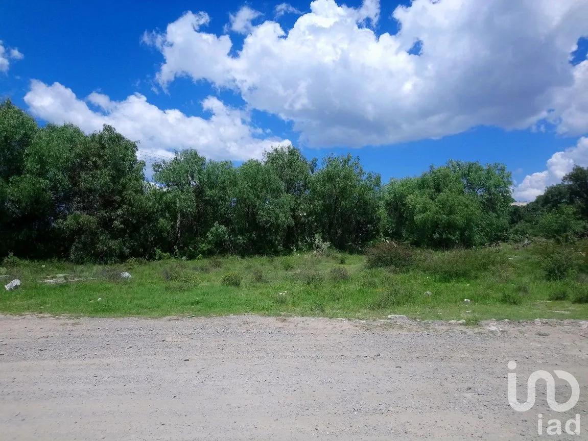 Terreno en Venta en Pachuquilla, Mineral de la Reforma, Hidalgo | NEX-31939 | iad México | Foto 4 de 6