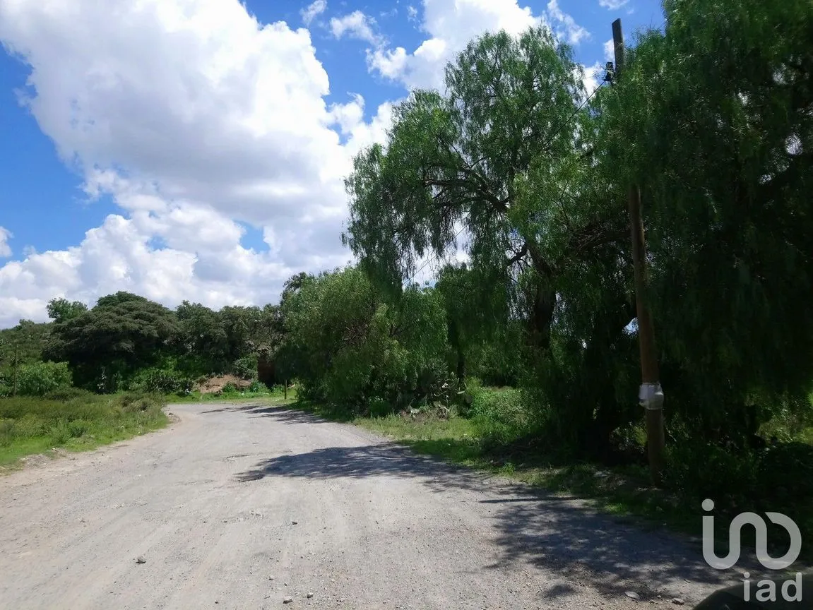 Terreno en Venta en Pachuquilla, Mineral de la Reforma, Hidalgo | NEX-31939 | iad México | Foto 6 de 6