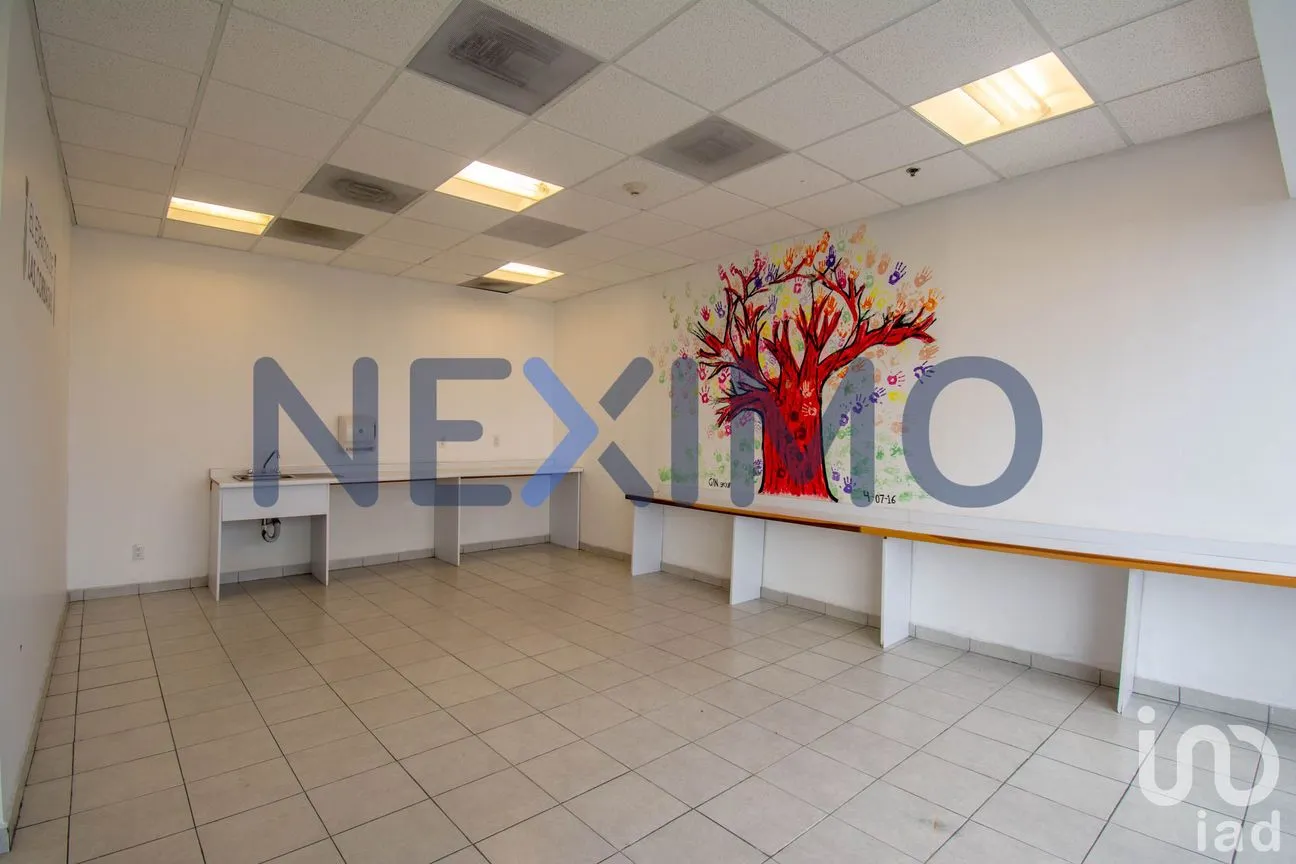 Oficina en Renta en Santa Fe Cuajimalpa, Cuajimalpa de Morelos, Ciudad de México | NEX-15427 | iad México | Foto 11 de 14