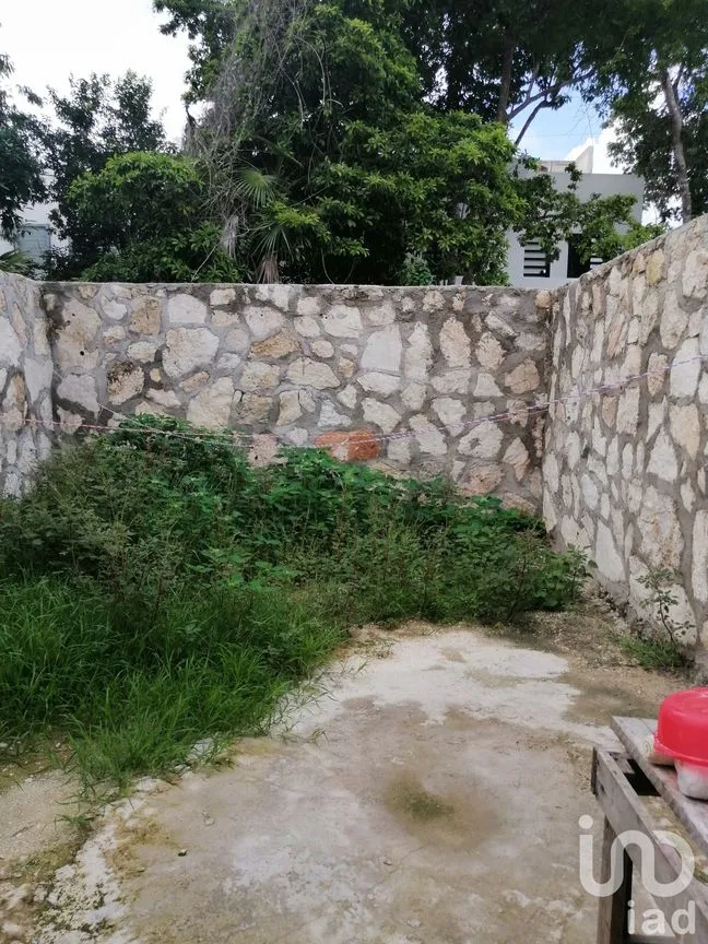 Casa en Renta en Villas La Playa, Puerto Morelos, Quintana Roo | NEX-20466 | iad México | Foto 22 de 23
