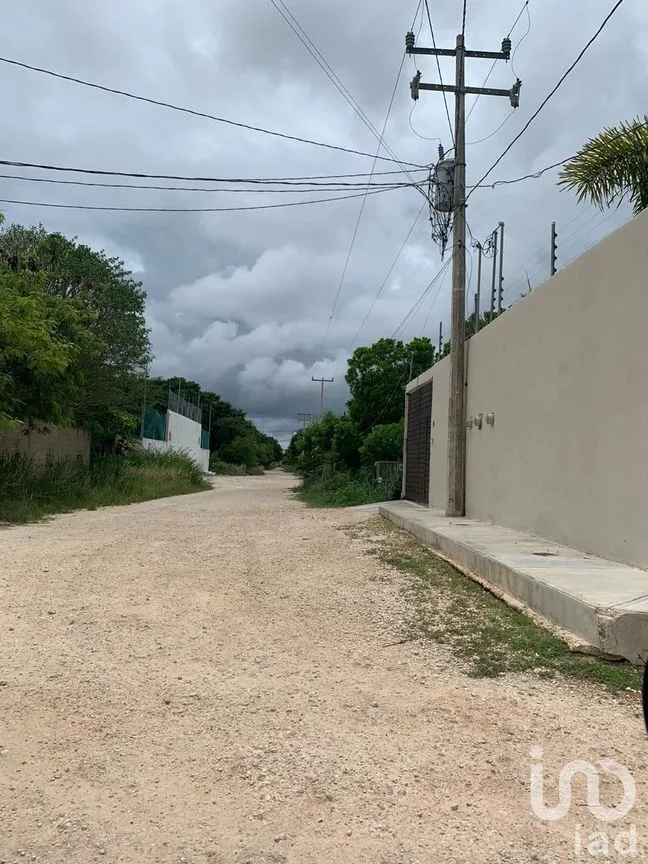 Local en Renta en Supermanzana 312, Benito Juárez, Quintana Roo | NEX-36140 | iad México | Foto 3 de 4