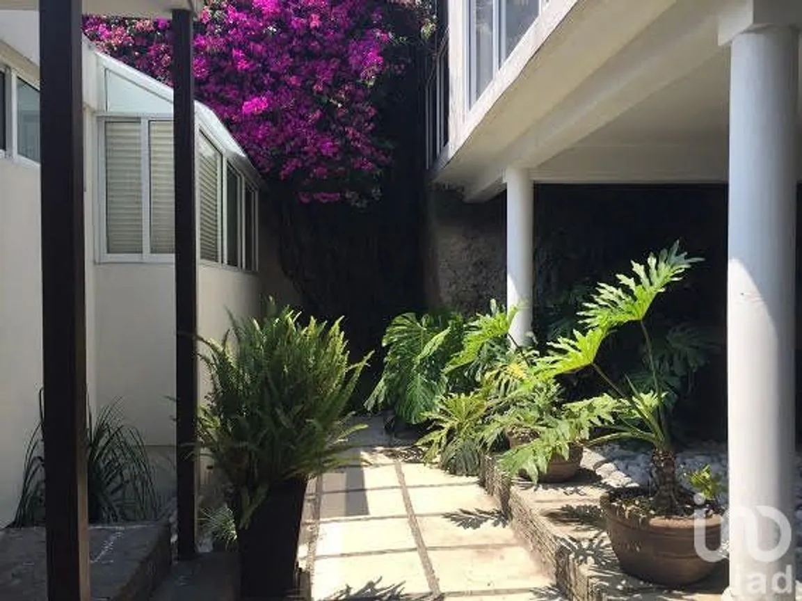 Departamento en Renta en Lomas de Chapultepec I Sección, Miguel Hidalgo, Ciudad de México | NEX-15052 | iad México | Foto 4 de 11