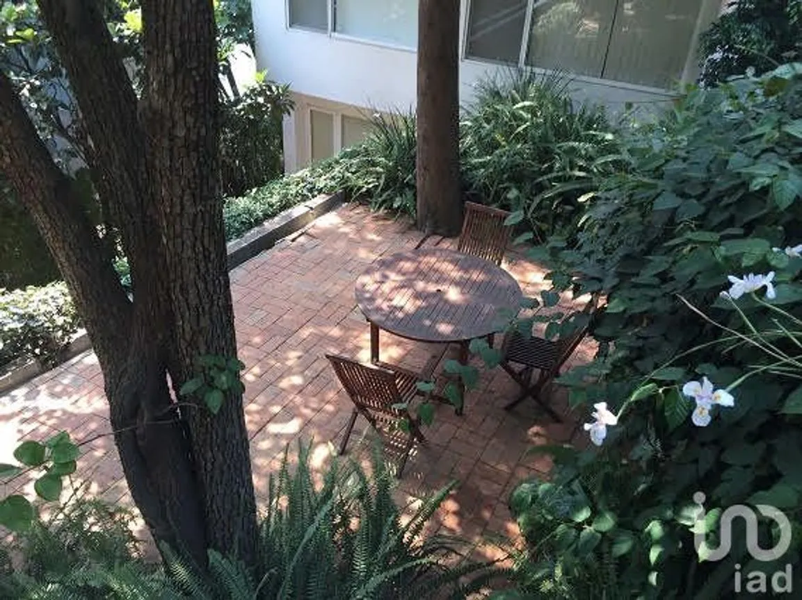 Departamento en Renta en Lomas de Chapultepec I Sección, Miguel Hidalgo, Ciudad de México | NEX-15053 | iad México | Foto 4 de 11