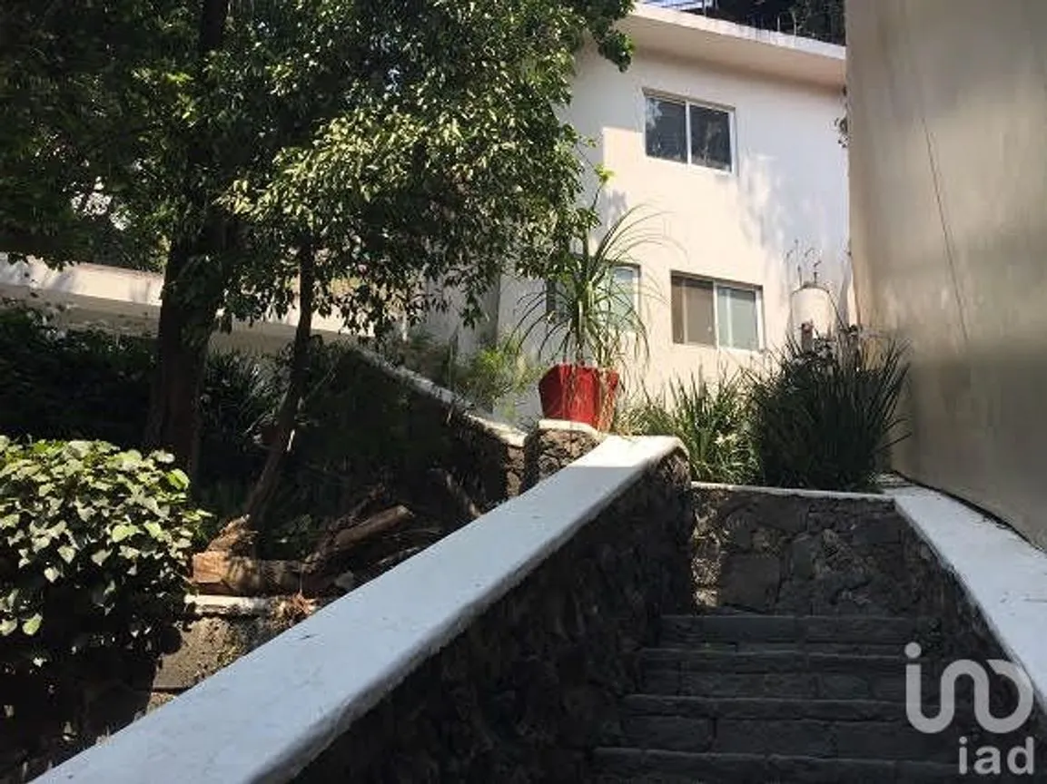 Departamento en Renta en Lomas de Chapultepec I Sección, Miguel Hidalgo, Ciudad de México | NEX-15053 | iad México | Foto 2 de 11