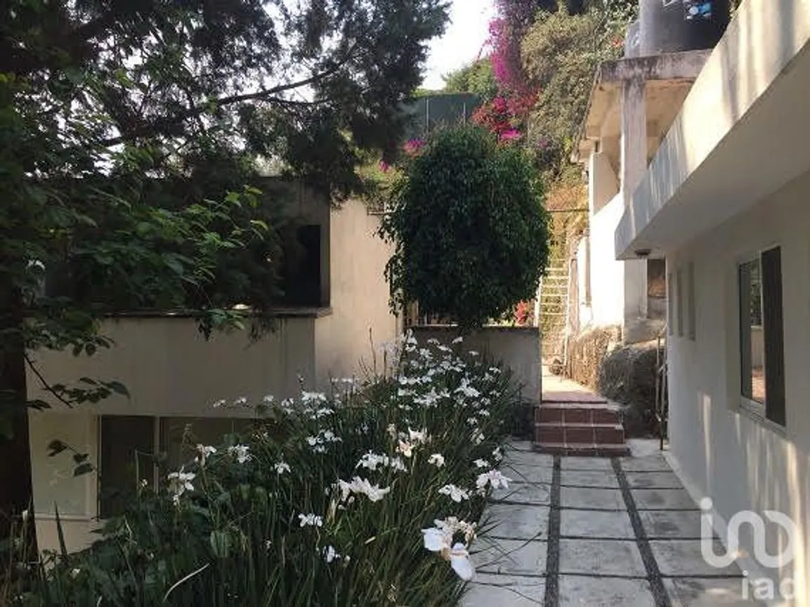 Departamento en Renta en Lomas de Chapultepec I Sección, Miguel Hidalgo, Ciudad de México | NEX-15053 | iad México | Foto 3 de 11