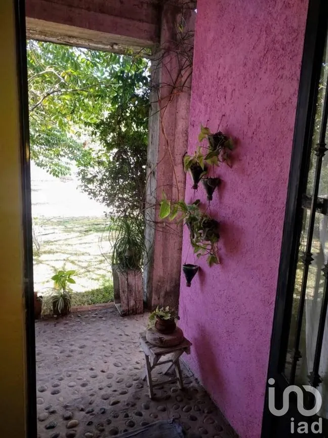 Casa en Venta en San Pedro de los Pinos, Xochitepec, Morelos | NEX-24190 | iad México | Foto 2 de 7
