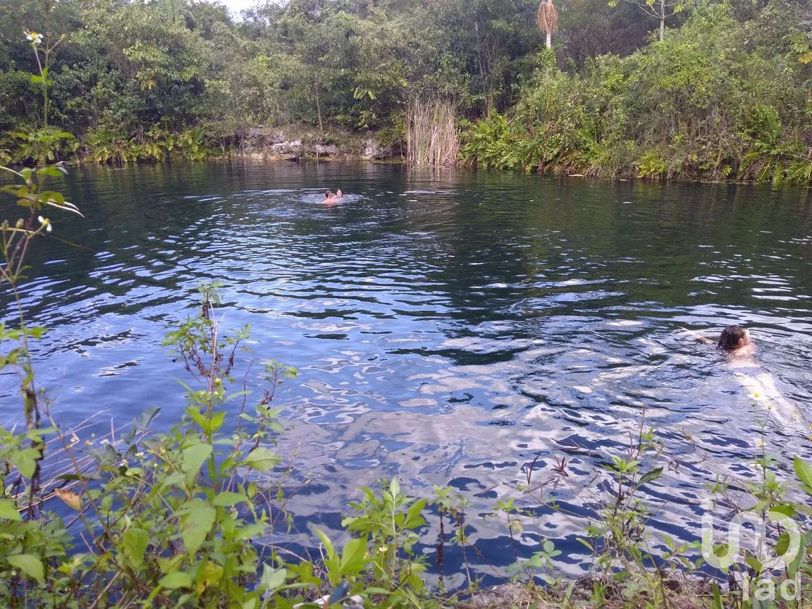 Terreno en Venta en Leona Vicario, Puerto Morelos, Quintana Roo | NEX-24363 | iad México | Foto 2 de 3