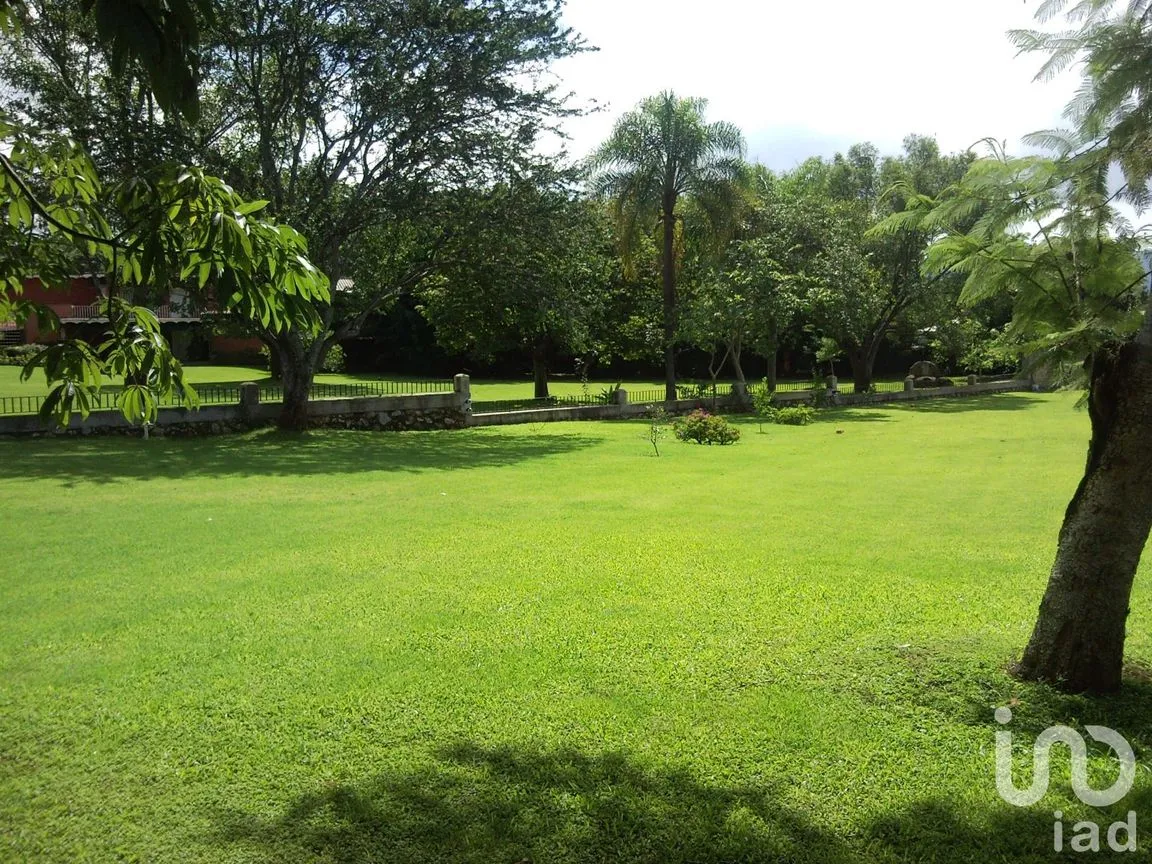 Terreno en Venta en Centro Jiutepec, Jiutepec, Morelos | NEX-150334 | iad México | Foto 6 de 9
