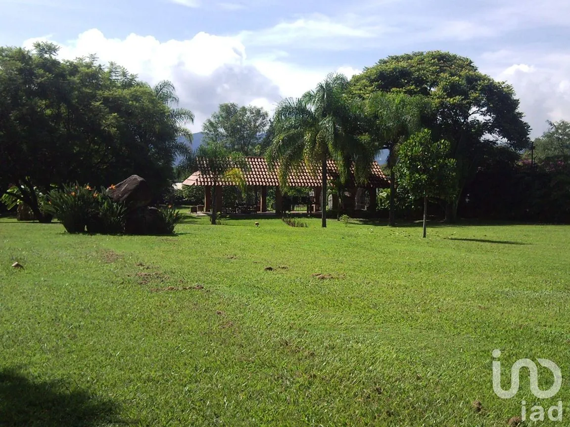 Terreno en Venta en Centro Jiutepec, Jiutepec, Morelos | NEX-150334 | iad México | Foto 7 de 9