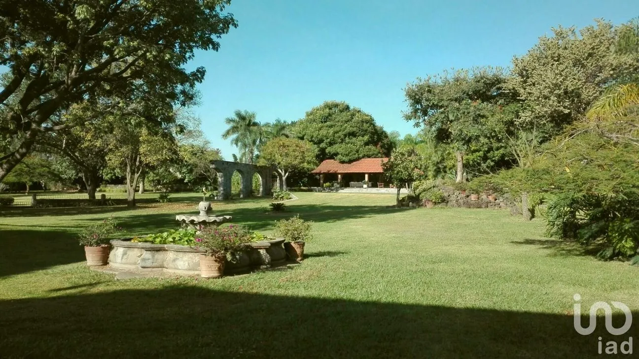 Terreno en Venta en Centro Jiutepec, Jiutepec, Morelos | NEX-150334 | iad México | Foto 8 de 9