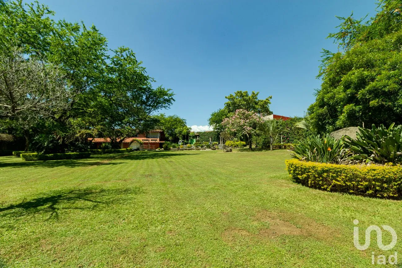Terreno en Venta en Centro Jiutepec, Jiutepec, Morelos | NEX-150334 | iad México | Foto 13 de 13