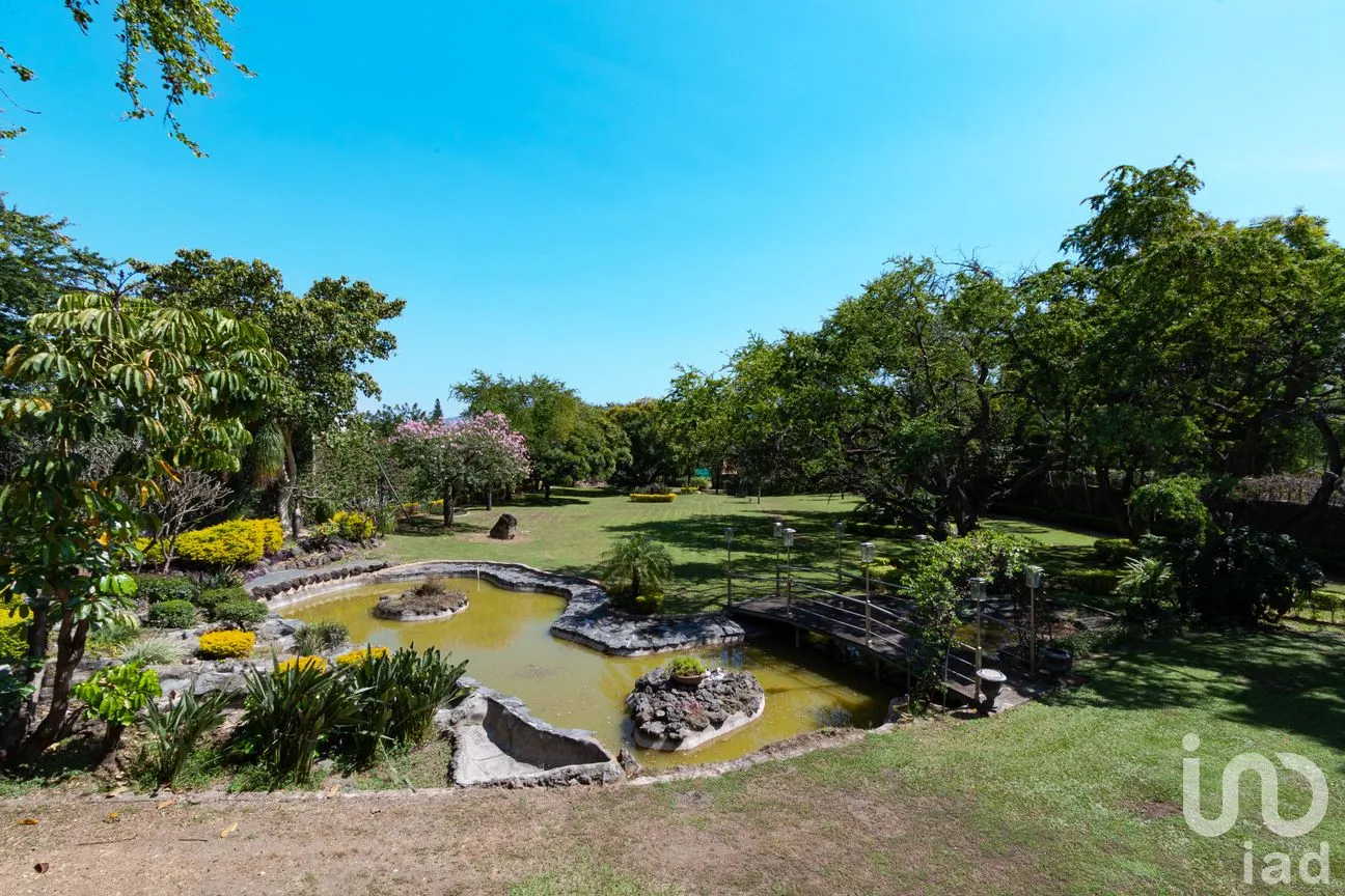 Terreno en Venta en Centro Jiutepec, Jiutepec, Morelos | NEX-150334 | iad México | Foto 5 de 13