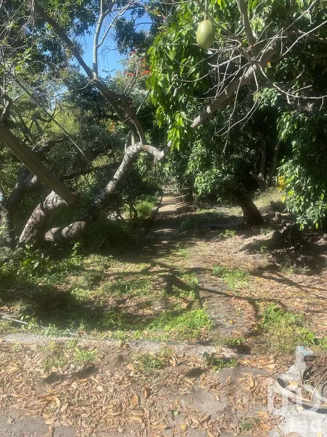 Terreno en Venta en Lomas de Atzingo, Cuernavaca, Morelos | NEX-188894 | iad México | Foto 4 de 5