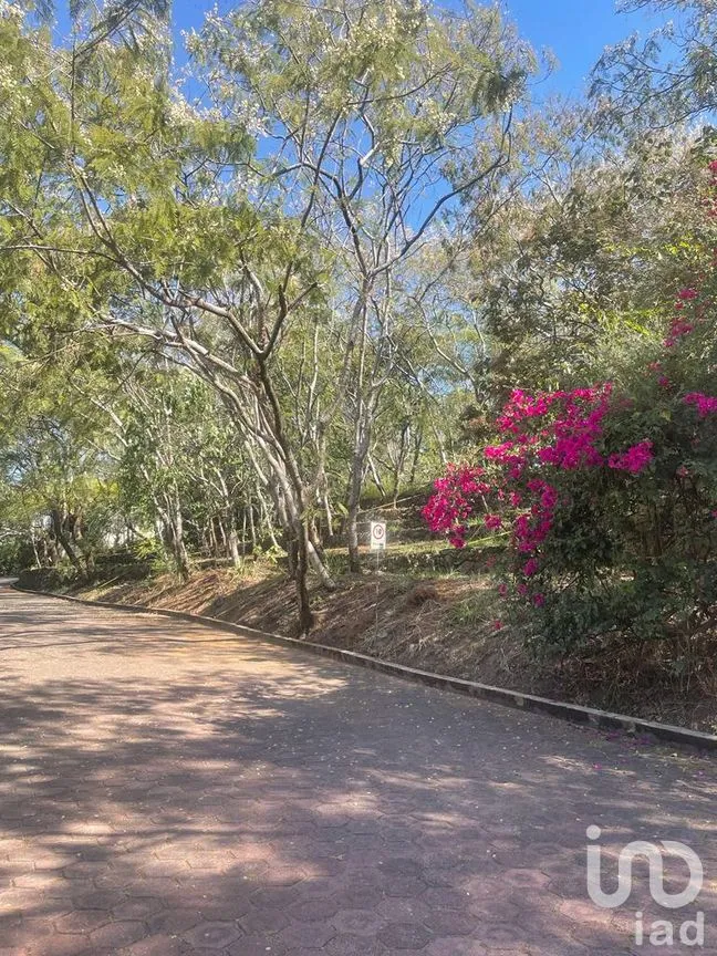 Terreno en Venta en Lomas de Atzingo, Cuernavaca, Morelos | NEX-188894 | iad México | Foto 1 de 5