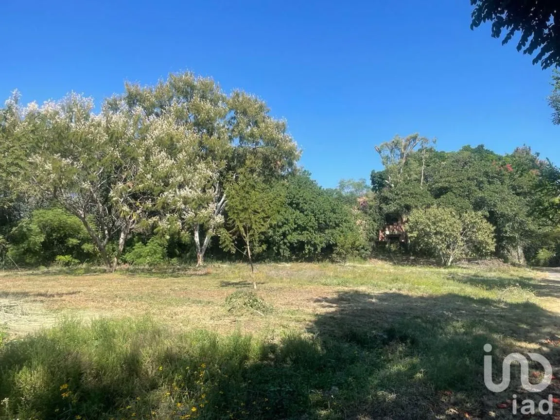 Terreno en Venta en Lomas de Atzingo, Cuernavaca, Morelos | NEX-188899 | iad México | Foto 2 de 7