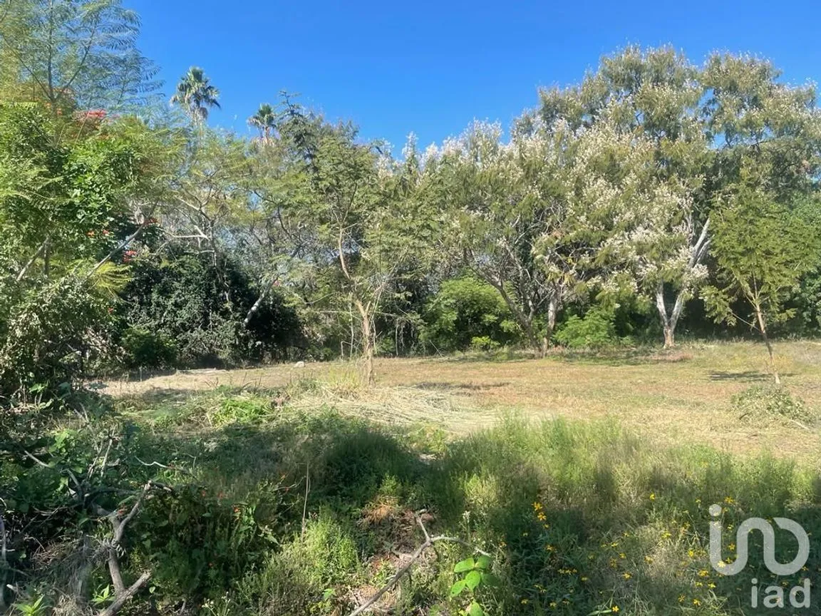 Terreno en Venta en Lomas de Atzingo, Cuernavaca, Morelos | NEX-188899 | iad México | Foto 1 de 7