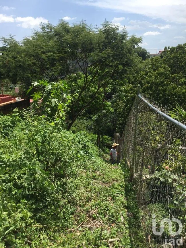 Terreno en Venta en Centro SCT Morelos, Cuernavaca, Morelos | NEX-265573 | iad México | Foto 2 de 5