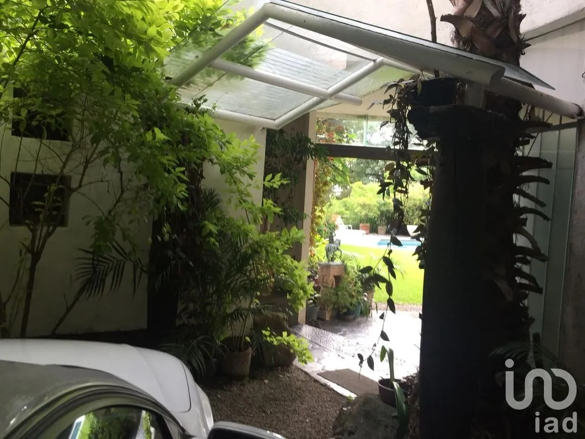 Departamento en Renta en Acapatzingo, Cuernavaca, Morelos | NEX-26687 | iad México | Foto 12 de 12