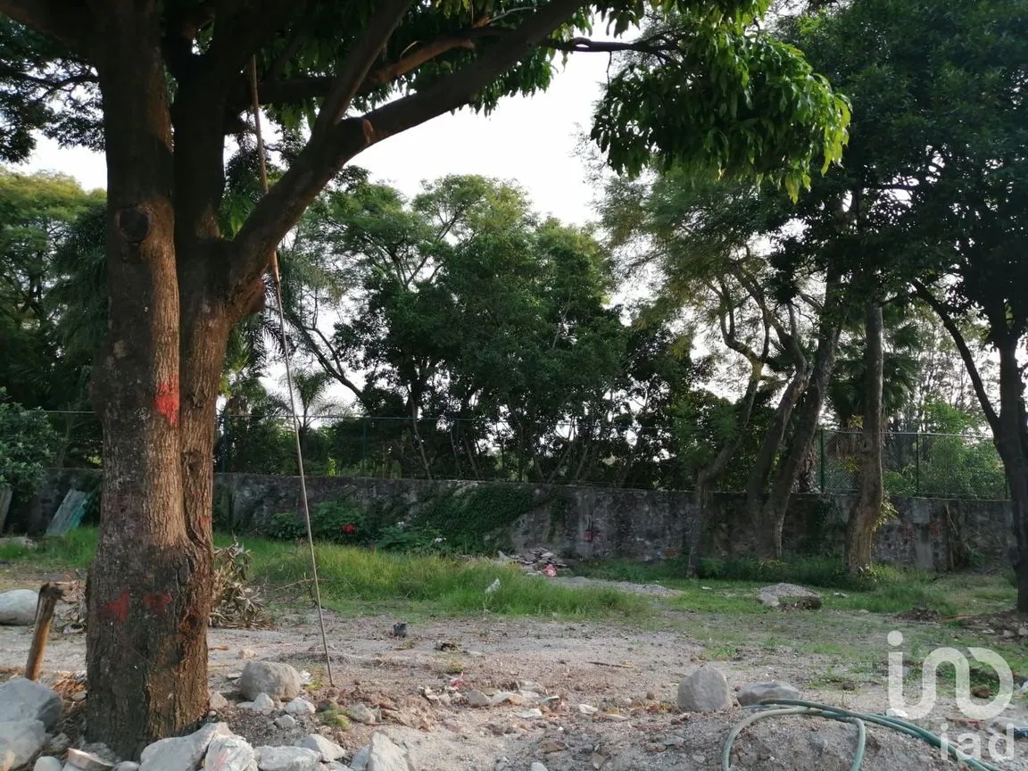 Terreno en Venta en Lomas de La Selva, Cuernavaca, Morelos | NEX-60549 | iad México | Foto 9 de 13