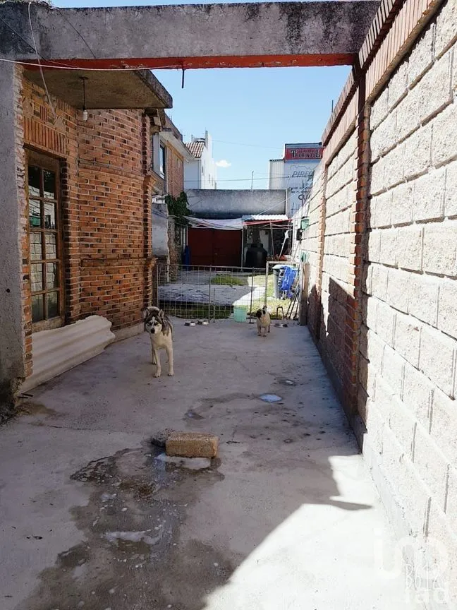 Casa en Venta en San José de los Cedros, Cuajimalpa de Morelos, Ciudad de México | NEX-30684 | iad México | Foto 4 de 13