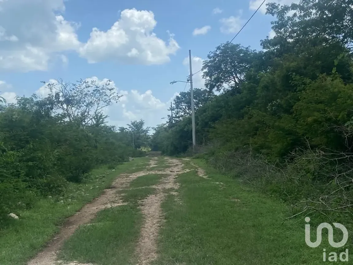 Terreno en Venta en X-Cuyum, Conkal, Yucatán | NEX-158827 | iad México | Foto 3 de 5