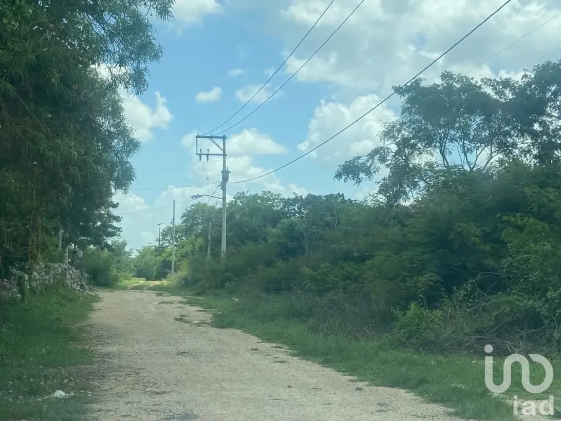 Terreno en Venta en X-Cuyum, Conkal, Yucatán | NEX-158827 | iad México | Foto 5 de 5