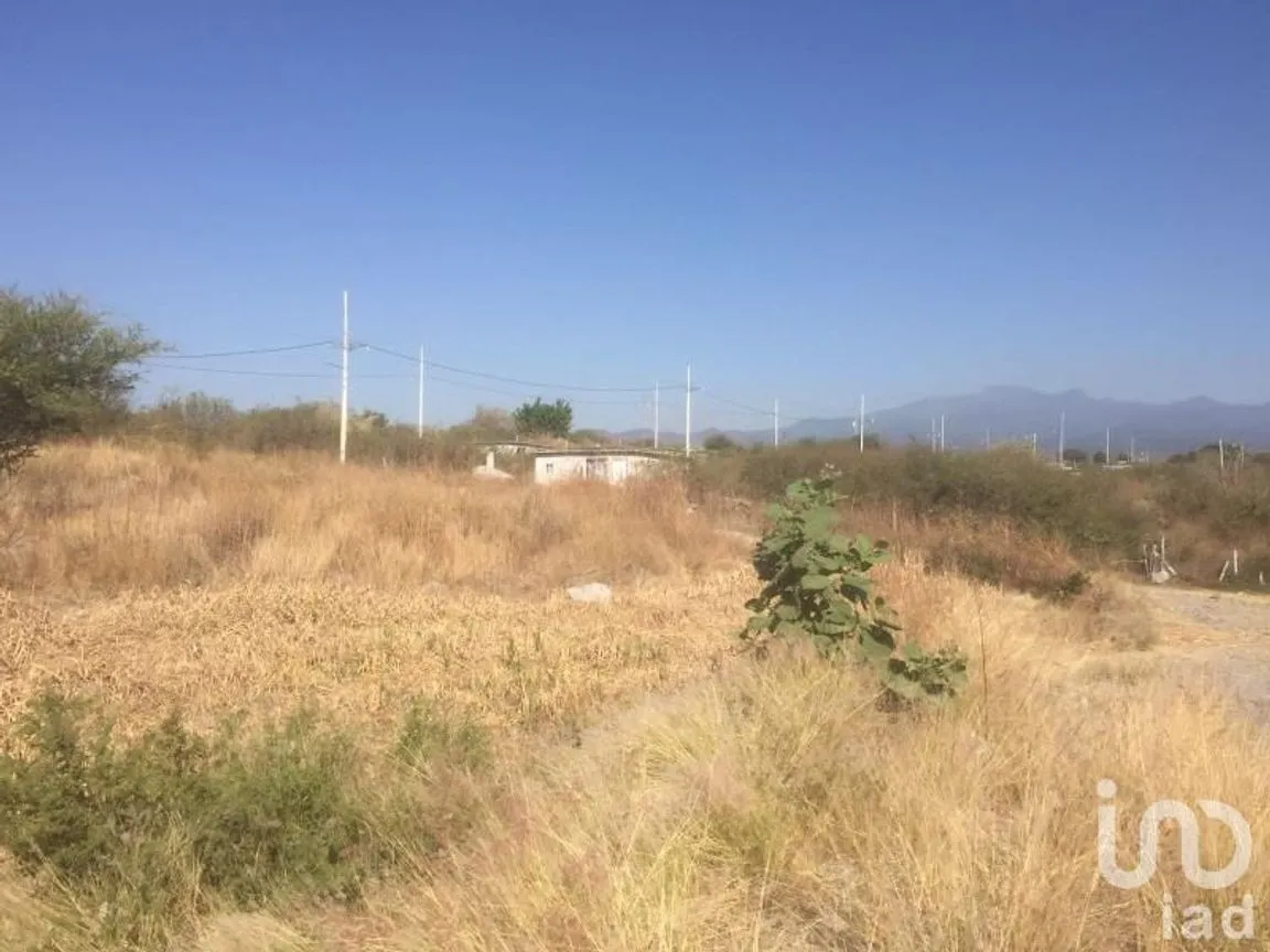 Terreno en Venta en La Unión, Temixco, Morelos | NEX-28362 | iad México | Foto 5 de 5
