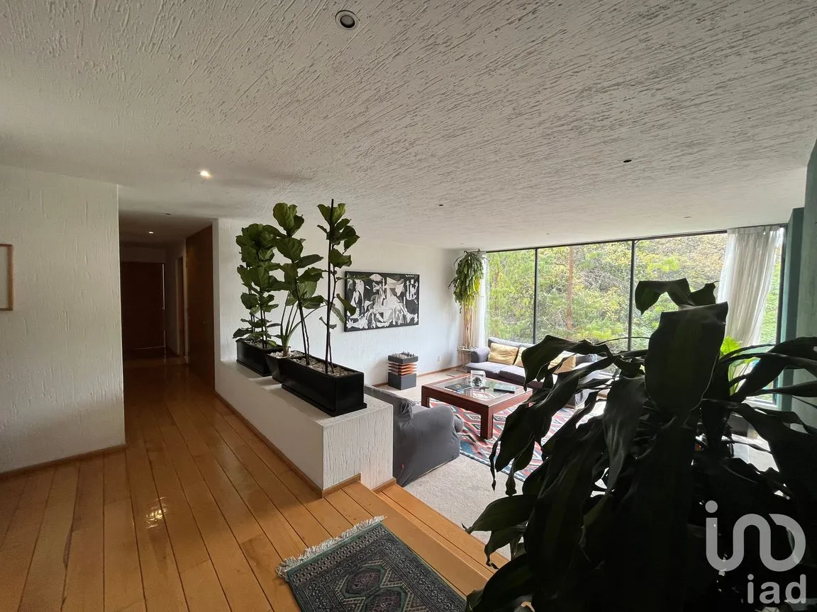 Departamento en Venta en Granjas Palo Alto, Cuajimalpa de Morelos, Ciudad de México | NEX-166838 | iad México | Foto 6 de 50