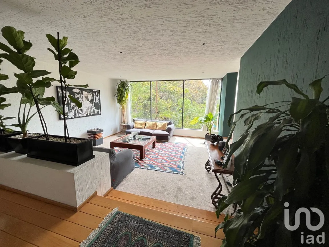 Departamento en Venta en Granjas Palo Alto, Cuajimalpa de Morelos, Ciudad de México | NEX-166838 | iad México | Foto 2 de 50