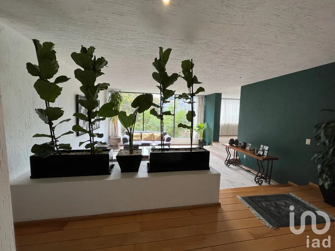 Departamento en Venta en Granjas Palo Alto, Cuajimalpa de Morelos, Ciudad de México | NEX-166838 | iad México | Foto 22 de 50