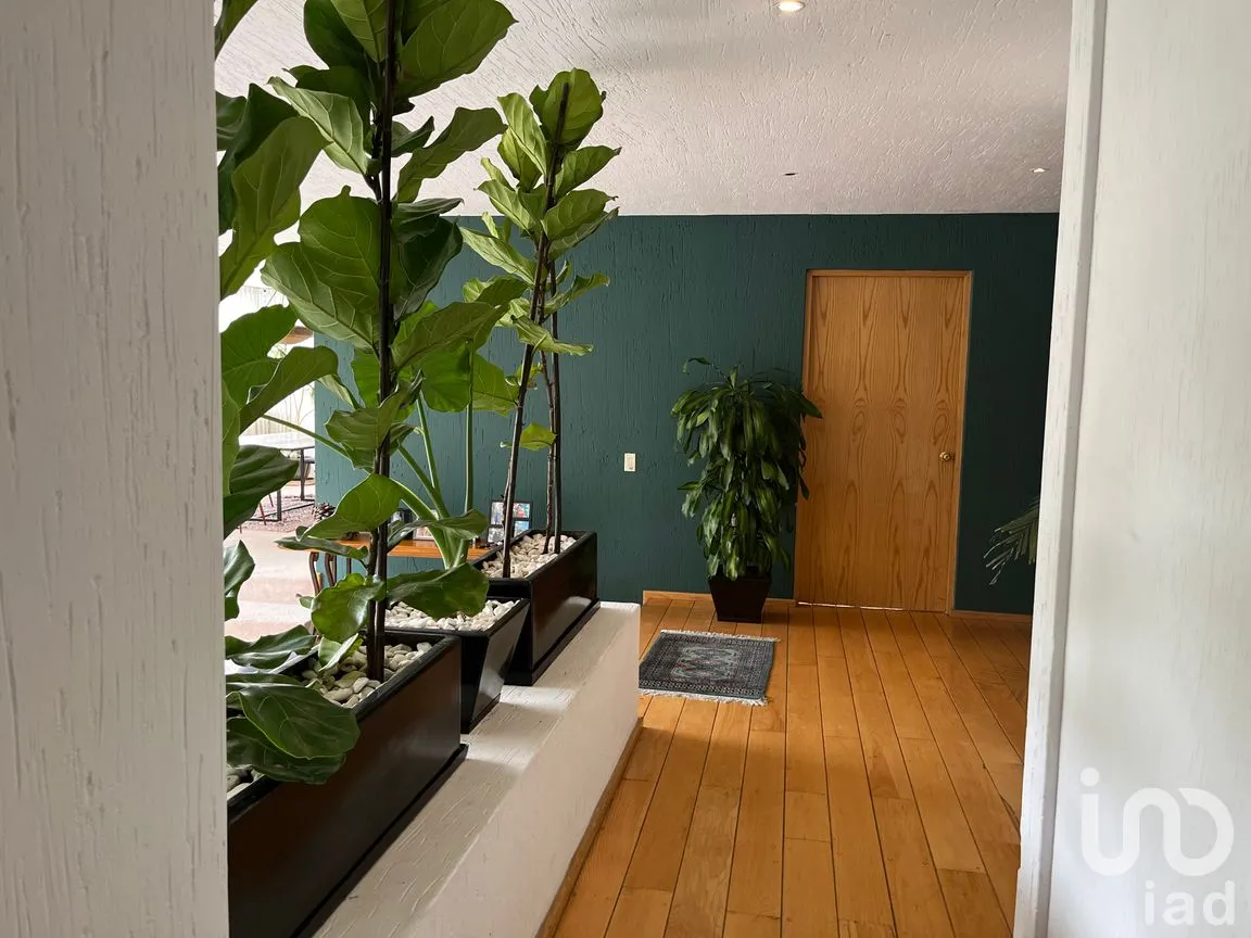 Departamento en Venta en Granjas Palo Alto, Cuajimalpa de Morelos, Ciudad de México | NEX-166838 | iad México | Foto 41 de 50
