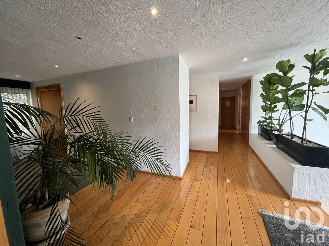 Departamento en Venta en Granjas Palo Alto, Cuajimalpa de Morelos, Ciudad de México | NEX-166838 | iad México | Foto 43 de 50