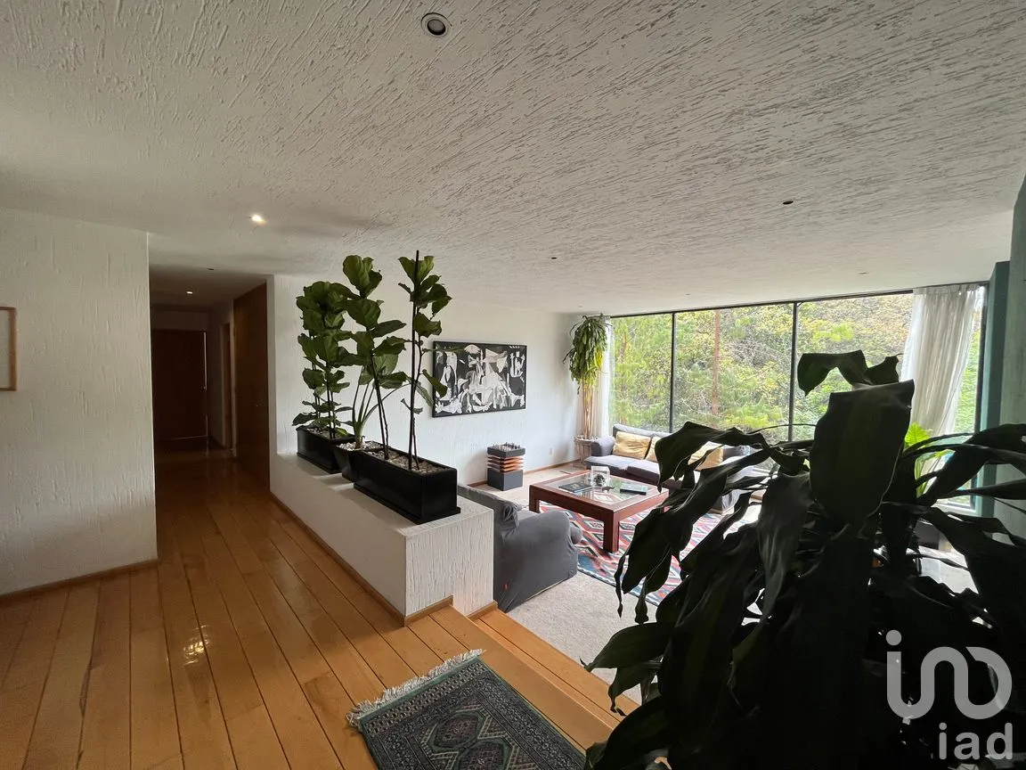 Departamento en Venta en Granjas Palo Alto, Cuajimalpa de Morelos, Ciudad de México | NEX-166838 | iad México | Foto 7 de 50