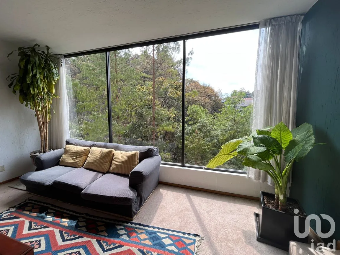 Departamento en Venta en Granjas Palo Alto, Cuajimalpa de Morelos, Ciudad de México | NEX-166838 | iad México | Foto 10 de 50