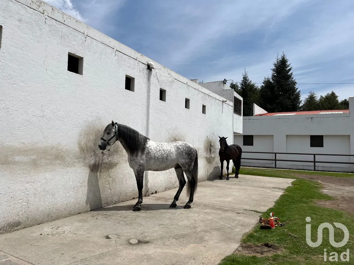 Rancho en Venta en Santo Tomas Ajusco, Tlalpan, Ciudad de México | NEX-170791 | iad México | Foto 79 de 83