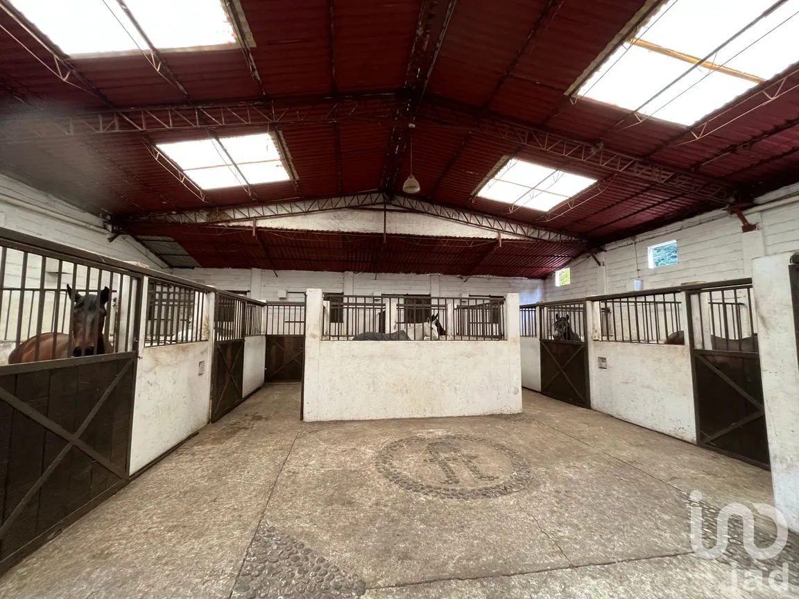 Rancho en Venta en Santo Tomas Ajusco, Tlalpan, Ciudad de México | NEX-170791 | iad México | Foto 2 de 83