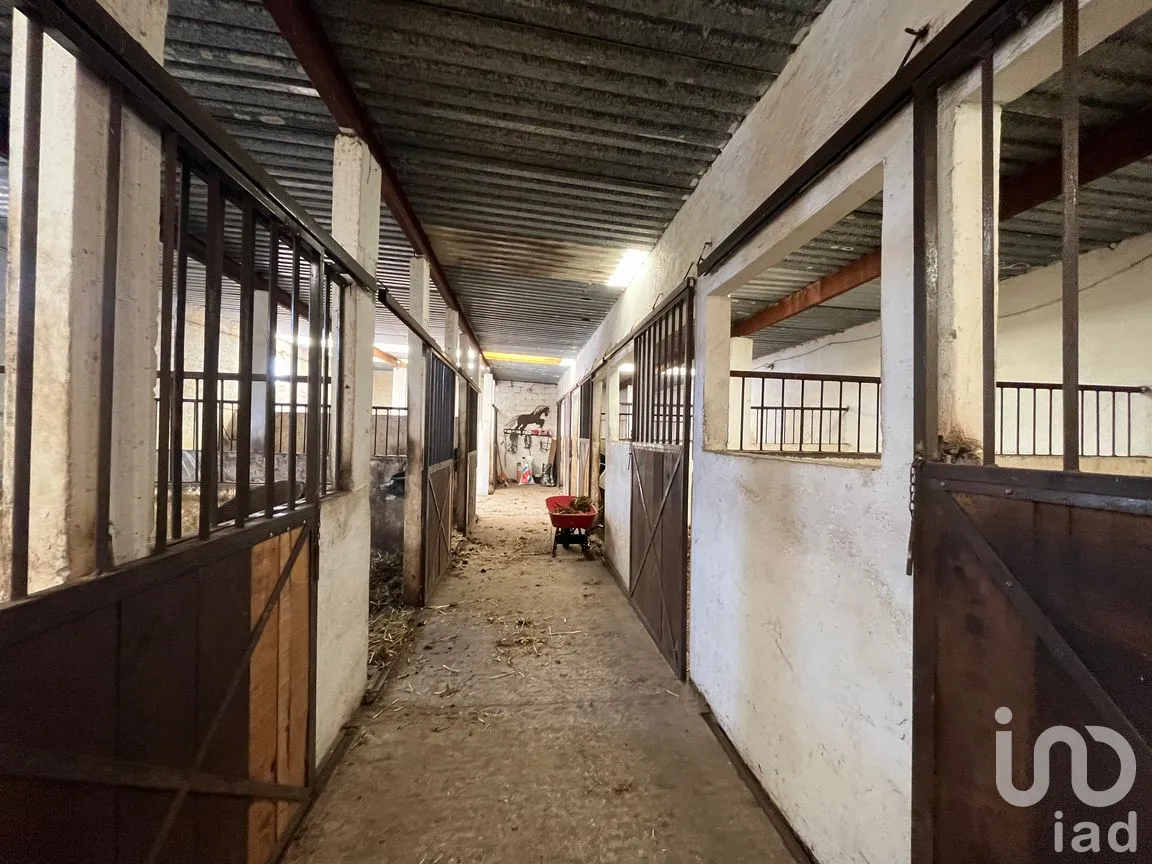Rancho en Venta en Santo Tomas Ajusco, Tlalpan, Ciudad de México | NEX-170791 | iad México | Foto 13 de 83