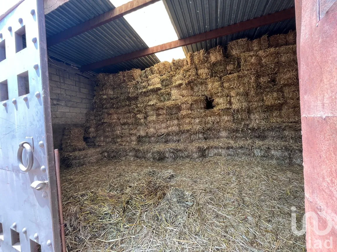 Rancho en Venta en Santo Tomas Ajusco, Tlalpan, Ciudad de México | NEX-170791 | iad México | Foto 16 de 83