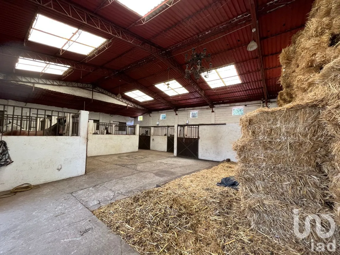 Rancho en Venta en Santo Tomas Ajusco, Tlalpan, Ciudad de México | NEX-170791 | iad México | Foto 21 de 83