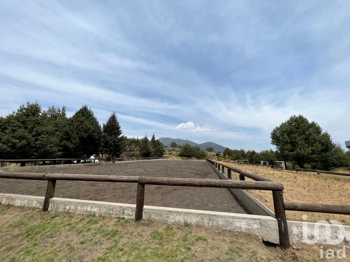 Rancho en Venta en Santo Tomas Ajusco, Tlalpan, Ciudad de México | NEX-170791 | iad México | Foto 26 de 83