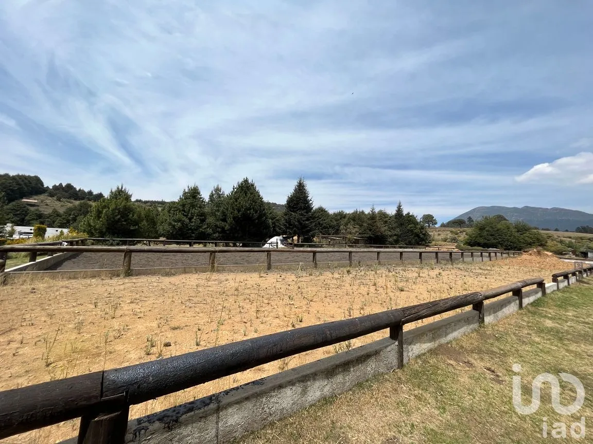 Rancho en Venta en Santo Tomas Ajusco, Tlalpan, Ciudad de México | NEX-170791 | iad México | Foto 29 de 83