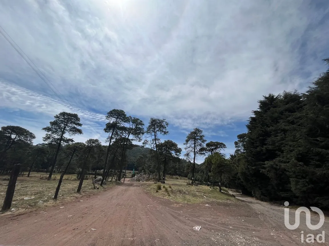 Rancho en Venta en Santo Tomas Ajusco, Tlalpan, Ciudad de México | NEX-170791 | iad México | Foto 4 de 83